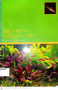 Image of Aquarium Aquascaping