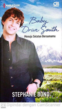 Image of Baby, Drive South